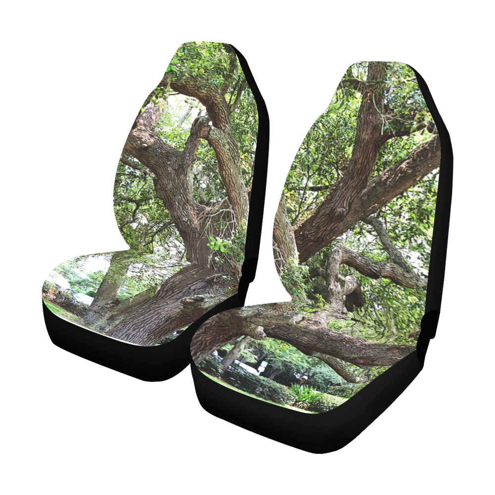 Oak Tree In The Park 7659 Stinson Park Jacksonville Florida Car Seat Covers (Set of 2&2 Separated Designs)