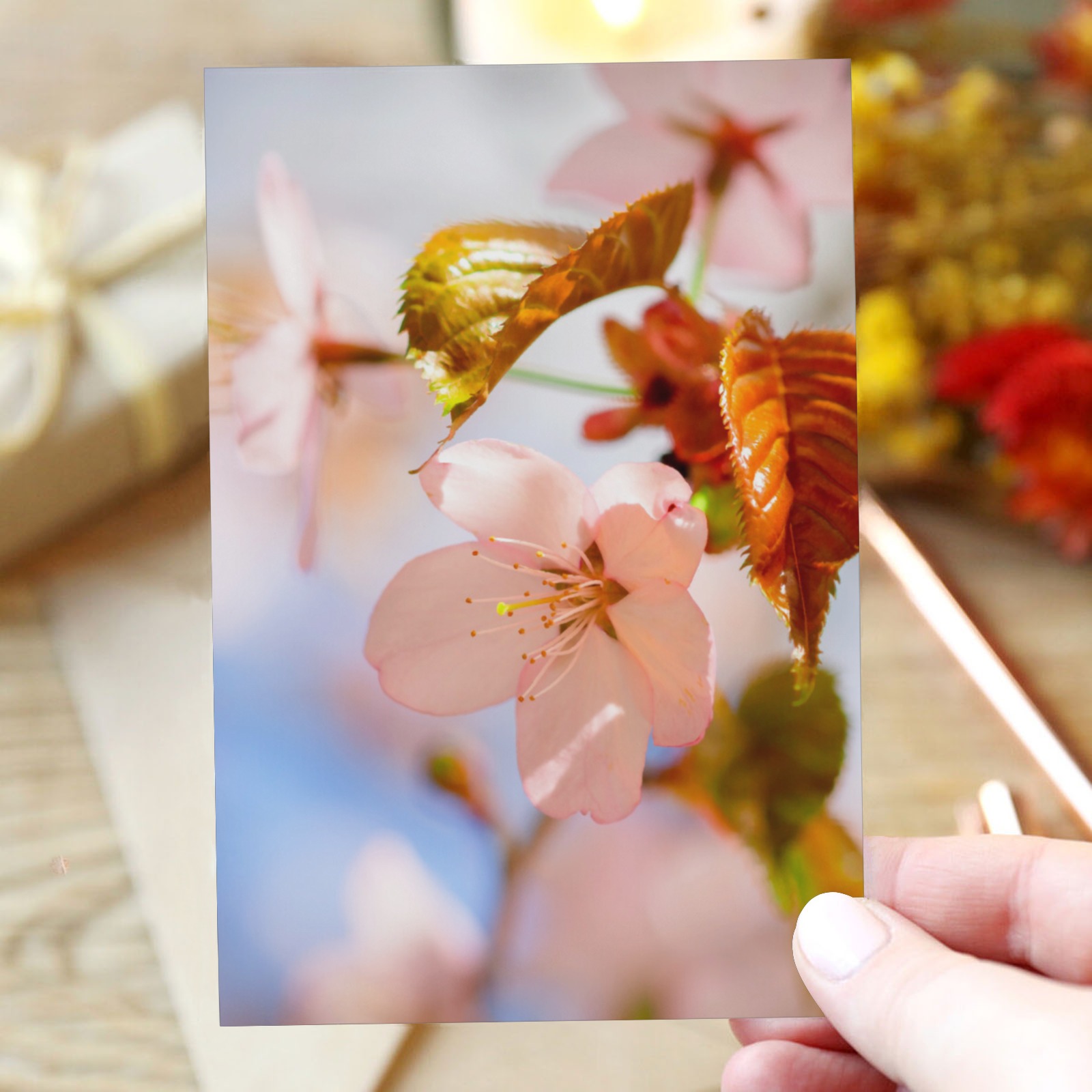 Orange leaves and pink petals of sakura cherry. Greeting Card 4"x6"