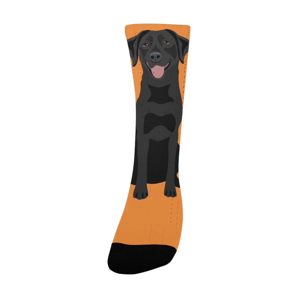 PRO'line X Dshirt14 Calze Spugna Pop Origami Labrador Cane