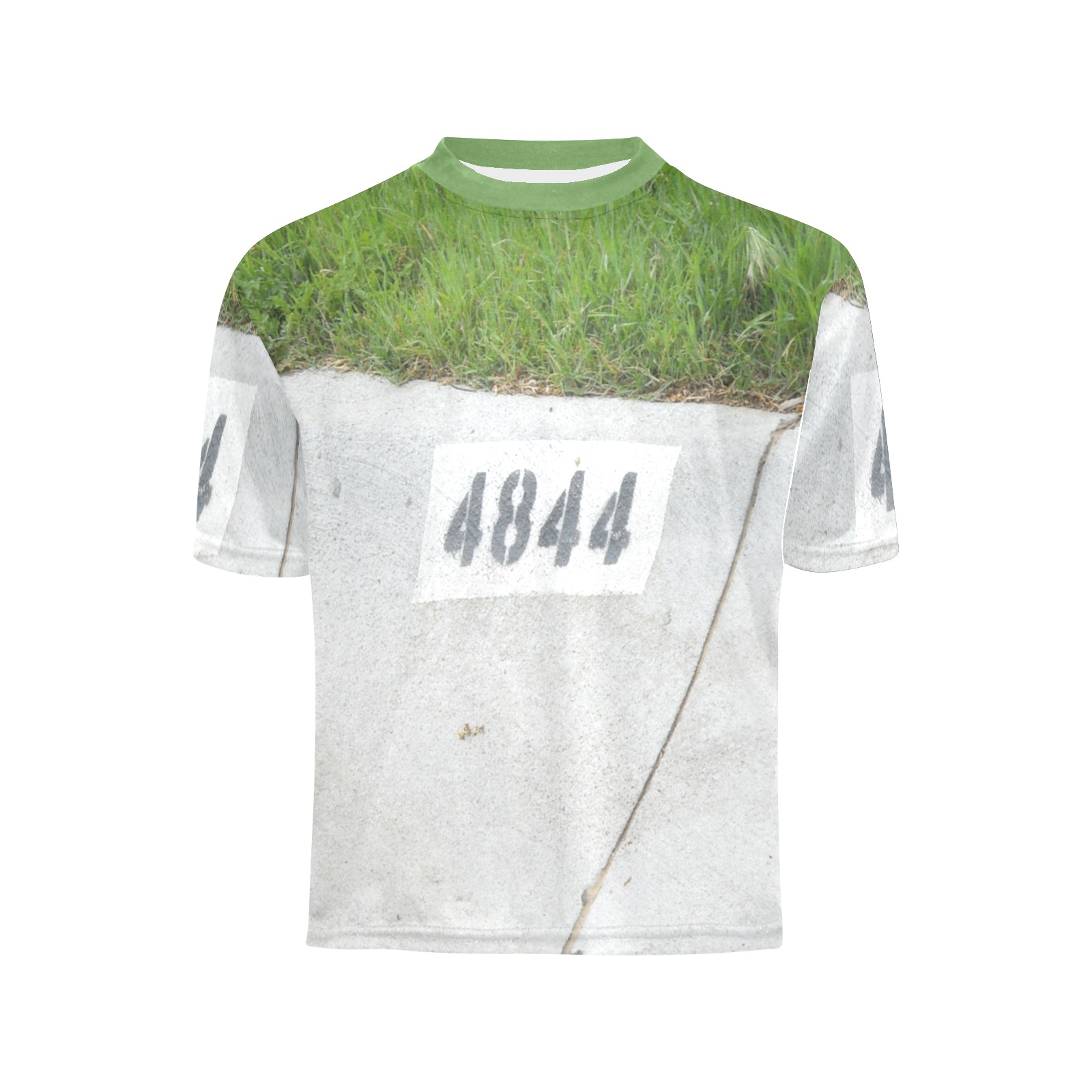 Street Number 4844 with green collar Little Boys' All Over Print Crew Neck T-Shirt (Model T40-2)
