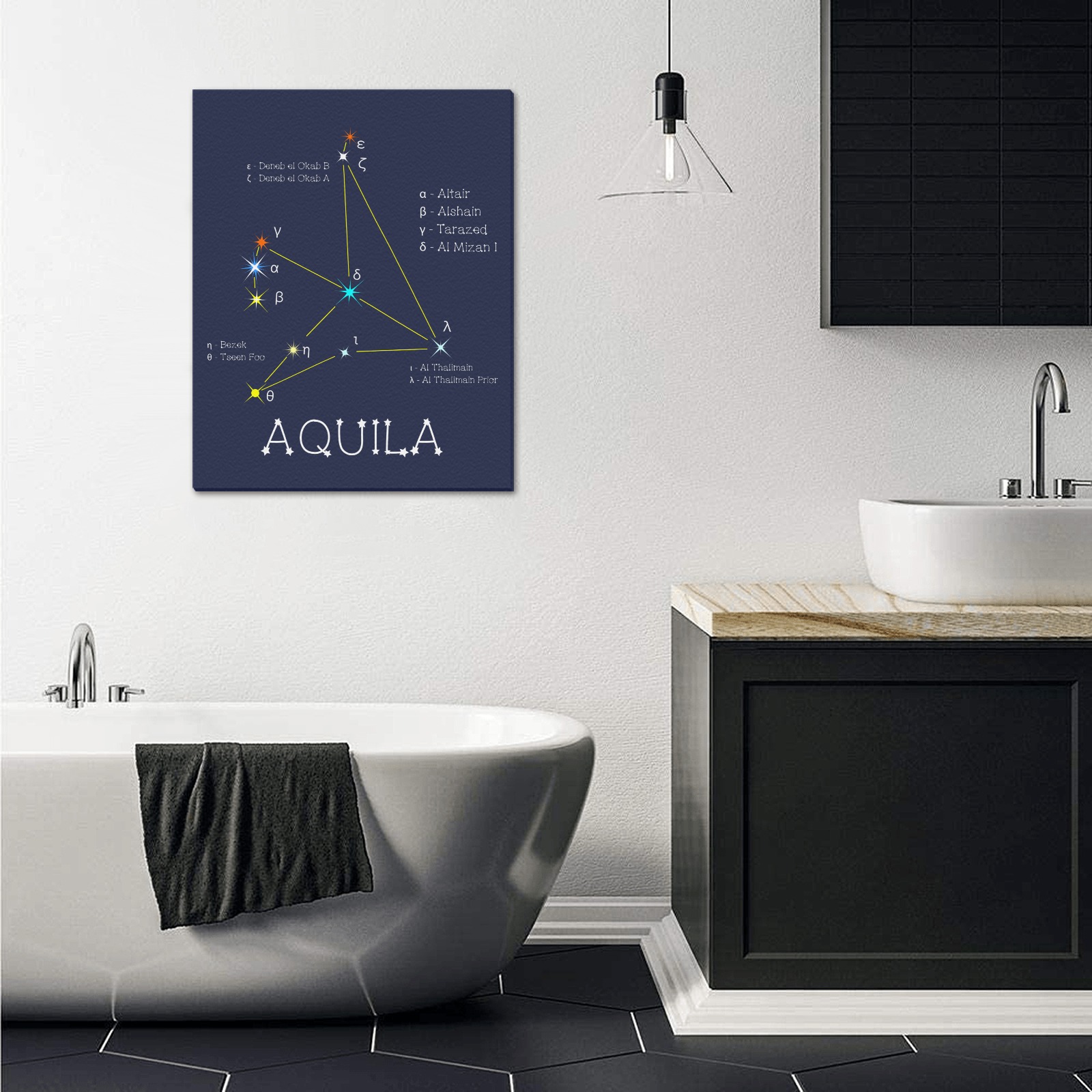 Star constellation Aquila eagle funny astronomy Upgraded Canvas Print 16"x20"
