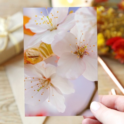Awesome and chic sakura cherry flowers in spring. Greeting Card 4"x6"