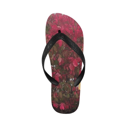 Changing Seasons Collection Flip Flops for Men/Women (Model 040)