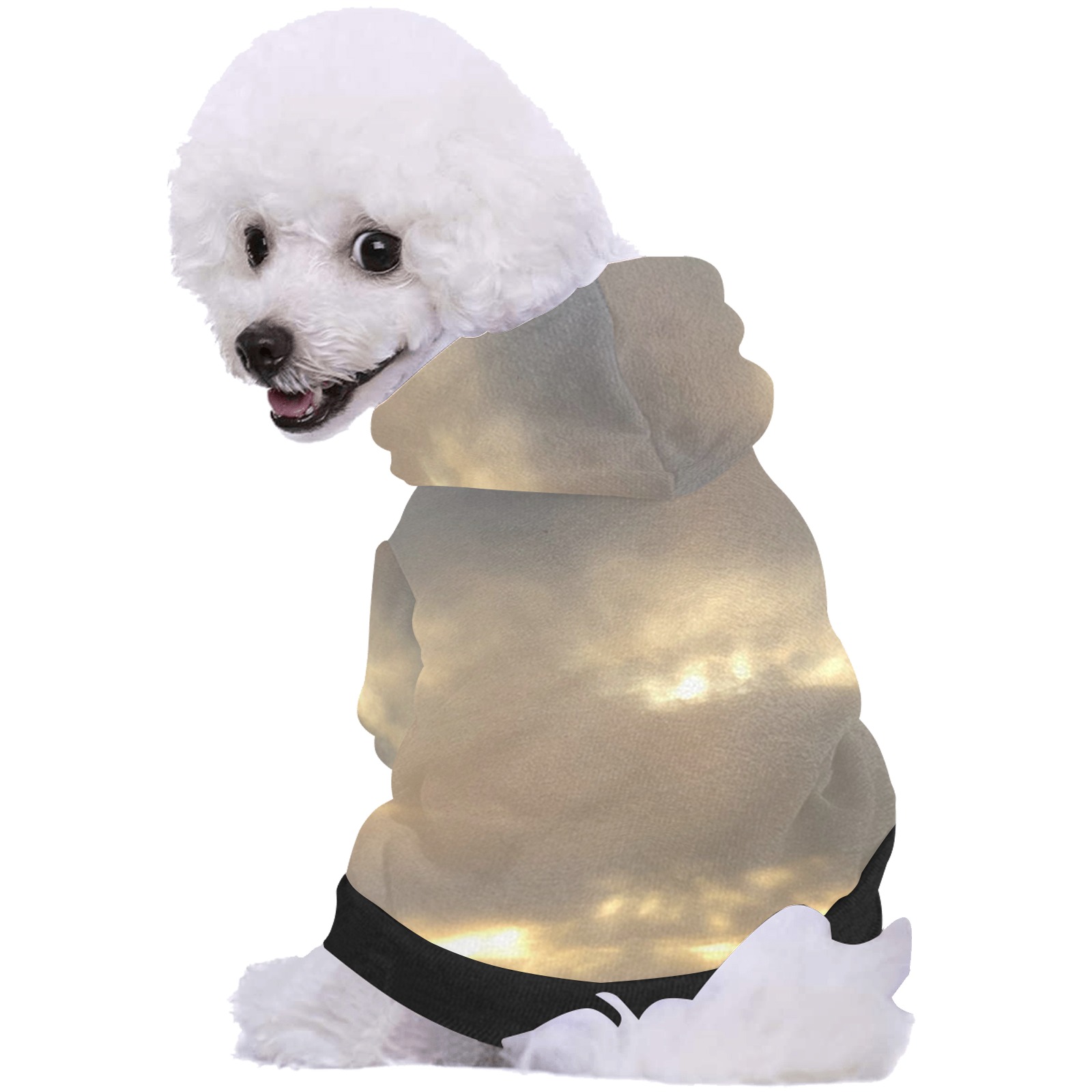 Cloud Collection Pet Dog Hoodie