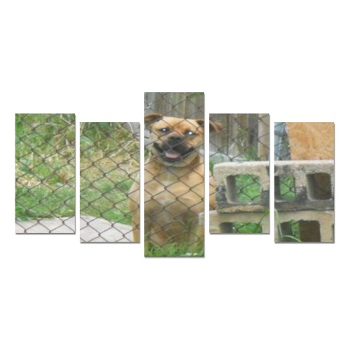 A Smiling Dog Canvas Print Sets E (No Frame)