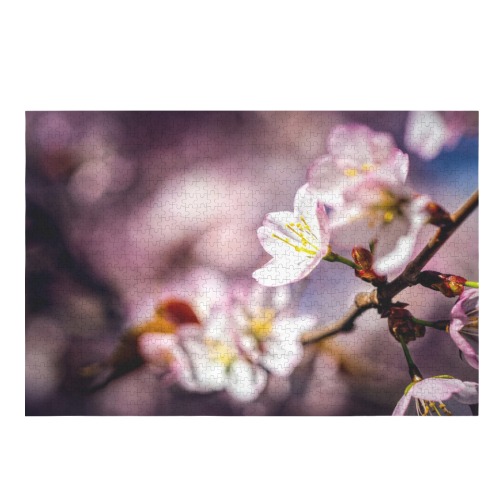 Magic of a sakura cherry garden in Hanami season.