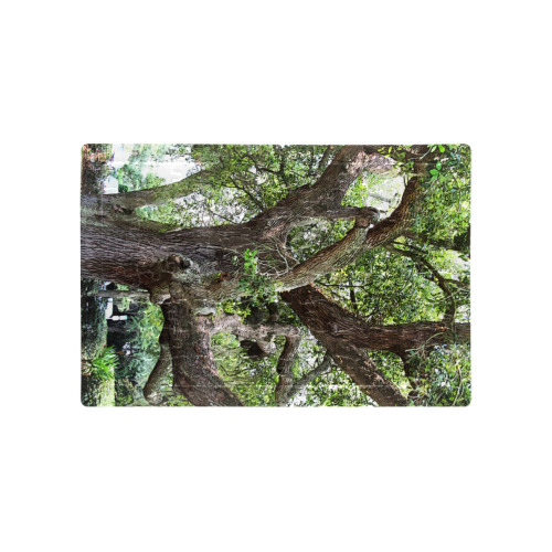 Oak Tree In The Park 7659 Stinson Park Jacksonville Florida A4 Size Jigsaw Puzzle (Set of 80 Pieces)