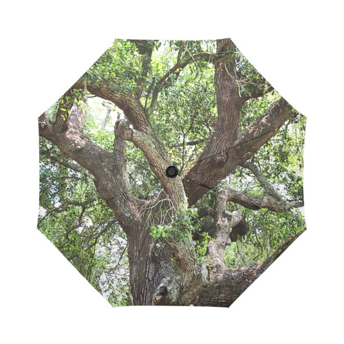 Oak Tree In The Park 7659 Stinson Park Jacksonville Florida Auto-Foldable Umbrella (Model U04)
