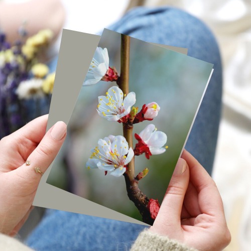Stunning beauty of white Japanese apricot flowers. Greeting Card 8"x6"