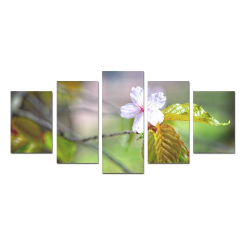 One sakura cherry flowers on a tree in spring. Canvas Print Sets D (No Frame)