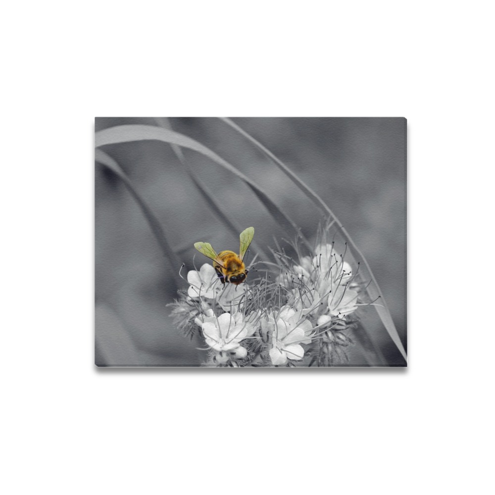 Black & White Single Bumblebee On A Flower Photograph Canvas Print 20"x16"