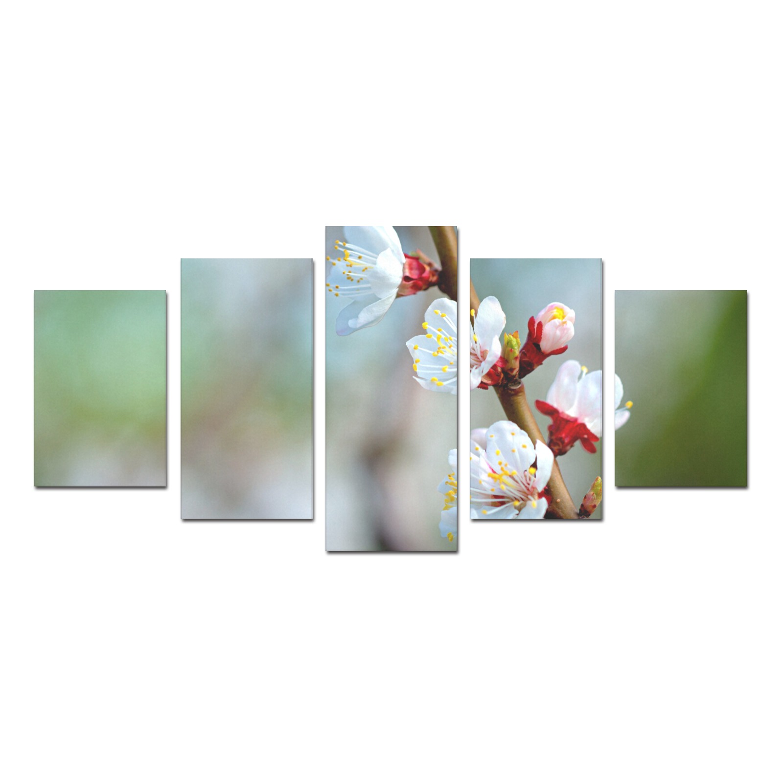 Stunning beauty of white Japanese apricot flowers. Canvas Print Sets D (No Frame)