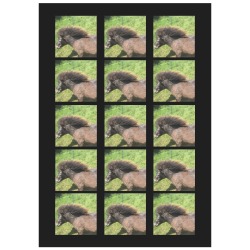 chocolate the pony Personalized Temporary Tattoo (15 Pieces)