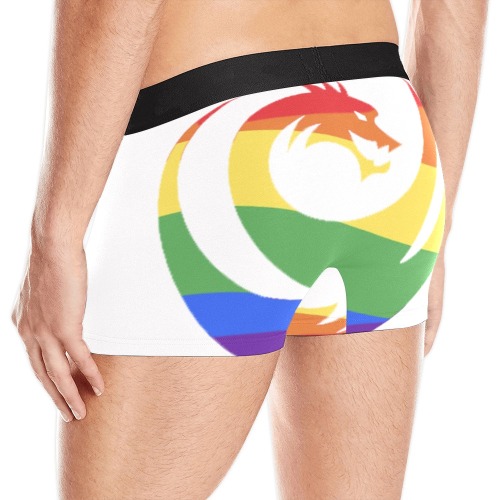 Pride Underwear Men's All Over Print Boxer Briefs (Model L10)