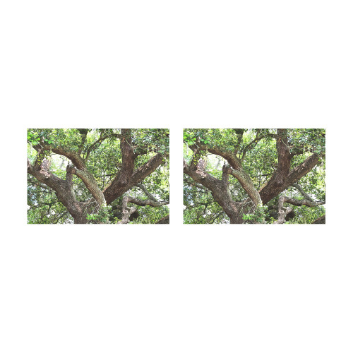 Oak Tree In The Park 7659 Stinson Park Jacksonville Florida Placemat 12’’ x 18’’ (Set of 2)