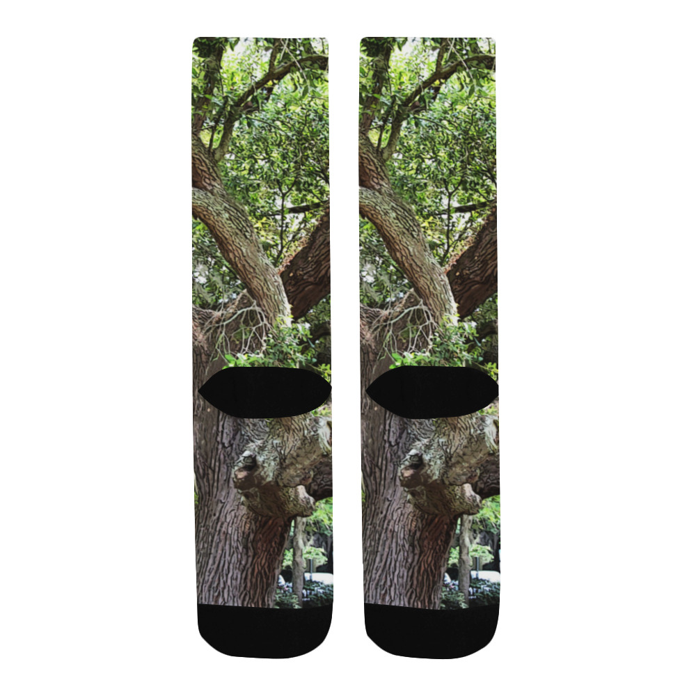 Oak Tree In The Park 7659 Stinson Park Jacksonville Florida Men's Custom Socks
