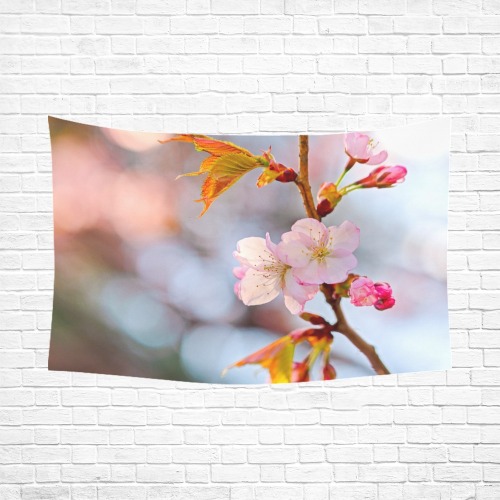 Beauty and magic of blossoming sakura cherry tree.