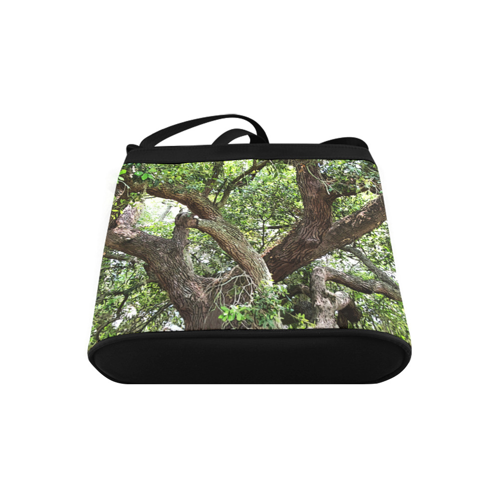 Oak Tree In The Park 7659 Stinson Park Jacksonville Florida Crossbody Bags (Model 1613)