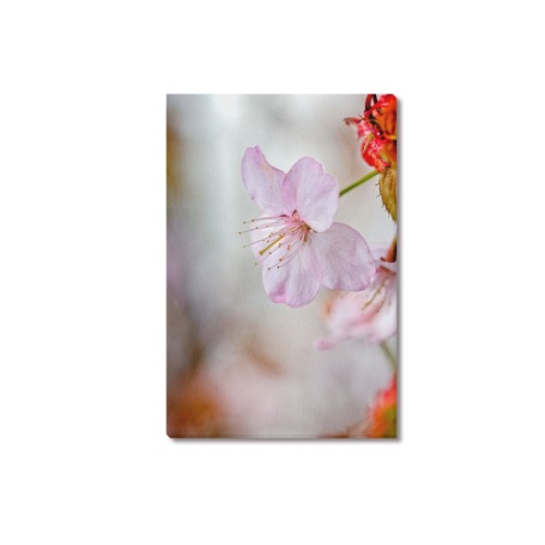 Soft pink sakura cherry flower. Magical garden. Upgraded Canvas Print 18"x12"
