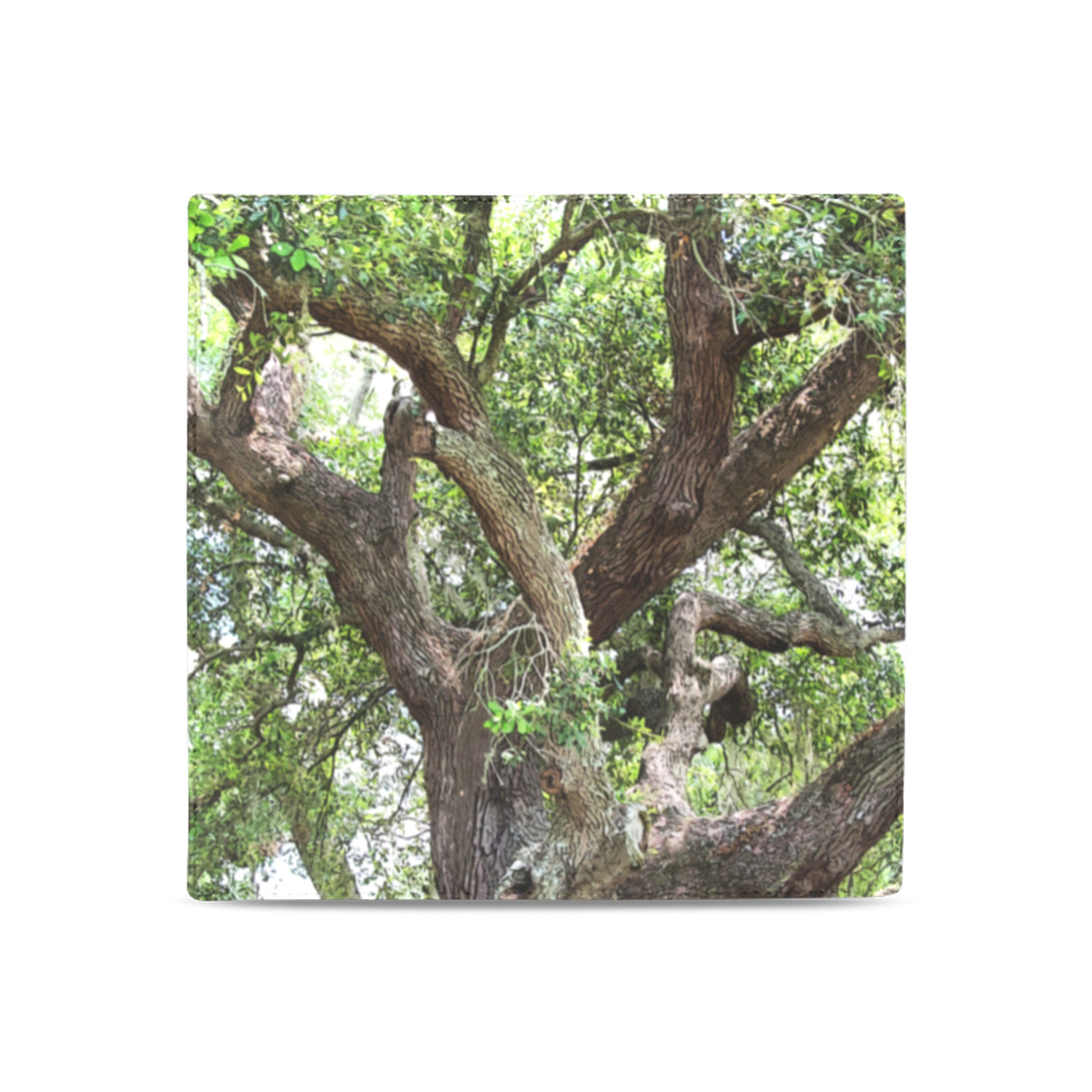 Oak Tree In The Park 7659 Stinson Park Jacksonville Florida Women's Leather Wallet (Model 1611)