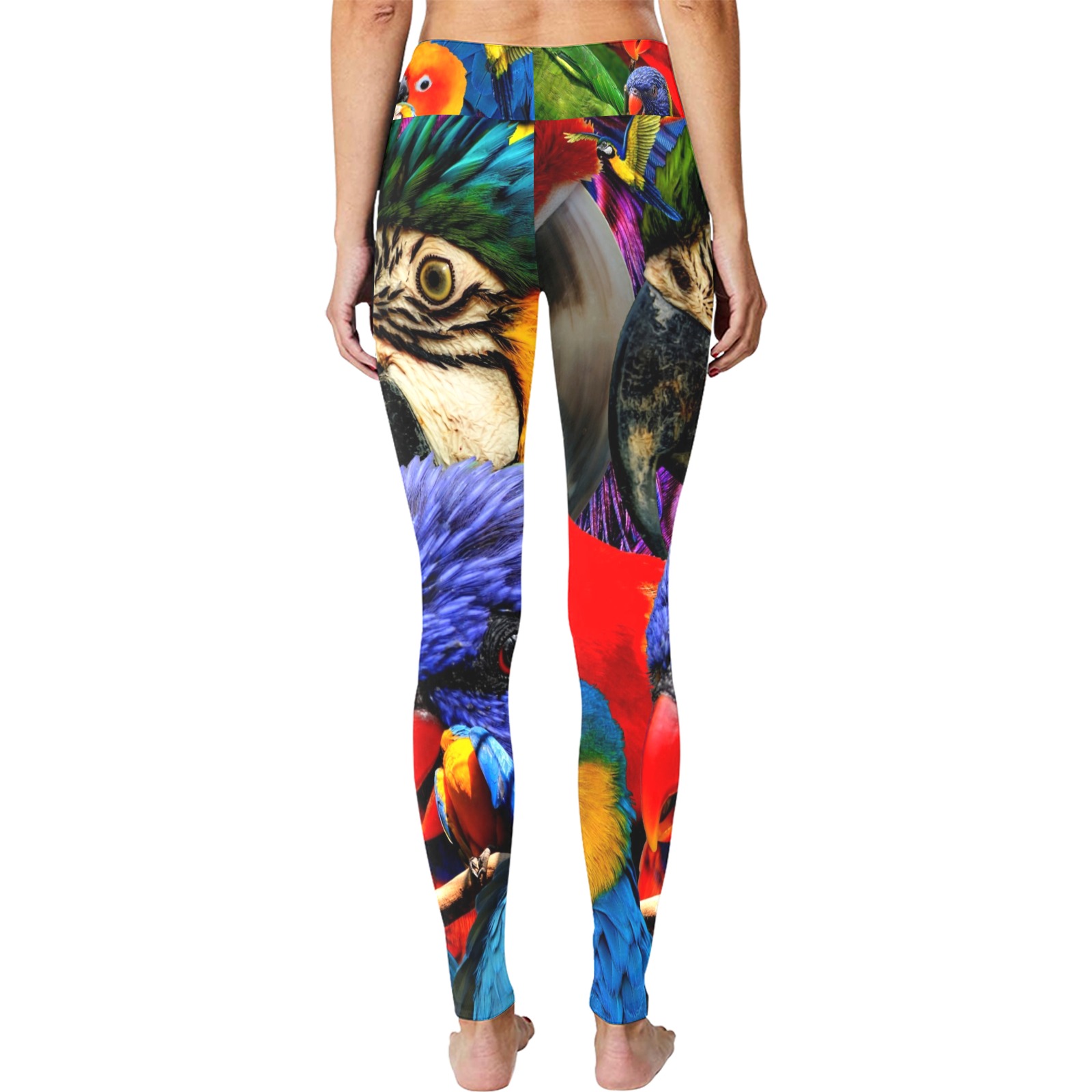 PARROTS Women's Big Size Workout Leggings (Model L43) ID D5743117
