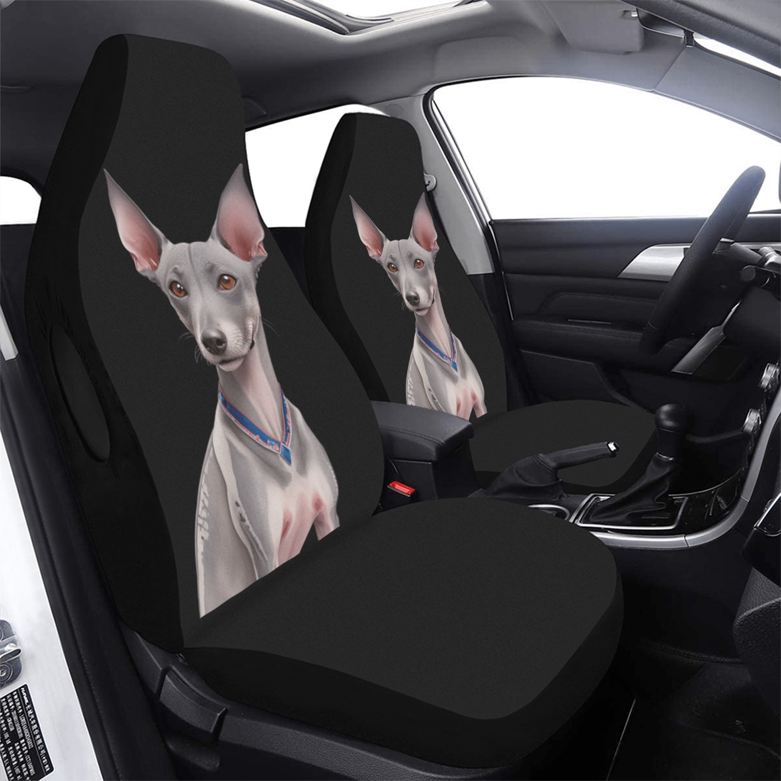 Xoloitzcuintli Car Seat Cover Airbag Compatible (Set of 2)