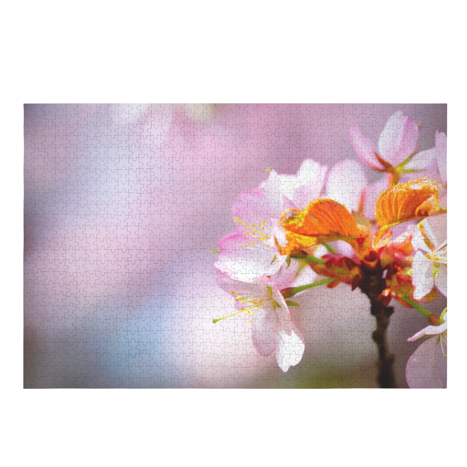 Sakura cherry blossom. The symbol of youth, beauty 1000-Piece Wooden Jigsaw Puzzle (Horizontal)