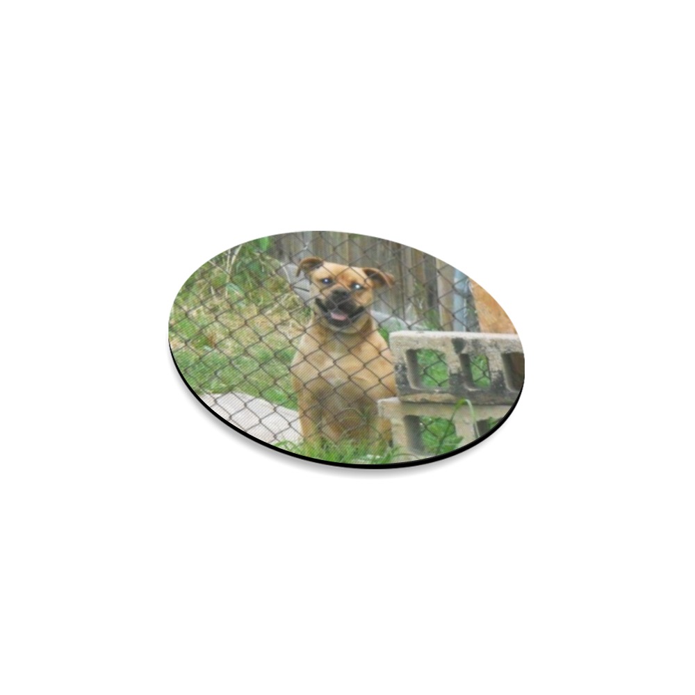 A Smiling Dog Round Coaster