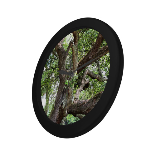 Oak Tree In The Park 7659 Stinson Park Jacksonville Florida Circular Plastic Wall clock