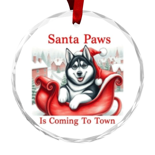 Santa Paws Husky Is Coming To Town